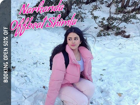 Shimla Narkanda Tour Package